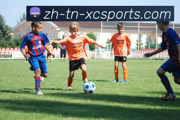 杏彩体育平台生态图