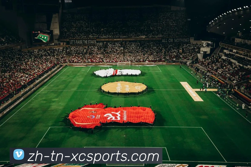 杏彩体育全站App